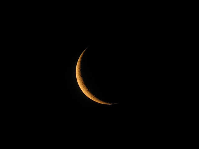 IMG_4267 