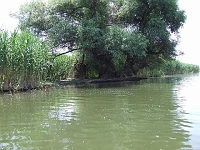 DSCF2790